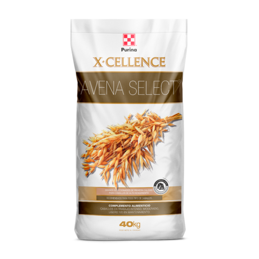 X-Cellence Avena Select